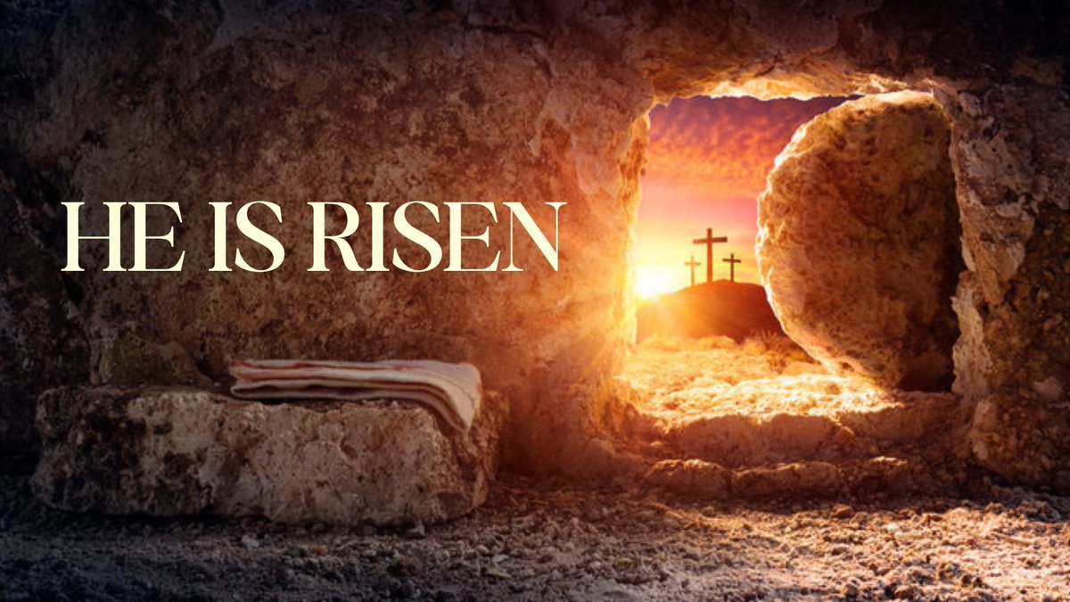 Byron Donalds tweet media