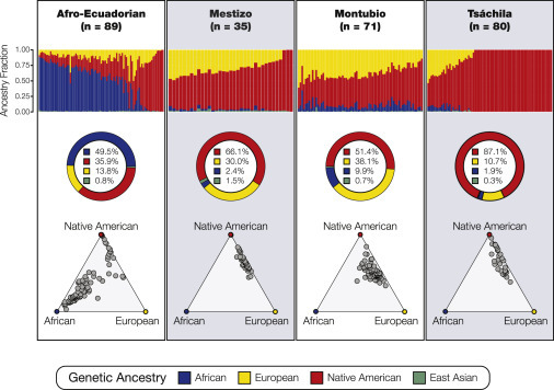 CellPressNews's tweet image. Genetic ancestry and ethnic identity in Ecuador by Shashwat Deepali Nagar (@SarsoDaSwag) at @GeorgiaTech and colleagues
hubs.li/Q047_L6L0
Population genetics paper from HGG Advances (@HGGAdvances) @GeneticsSociety
