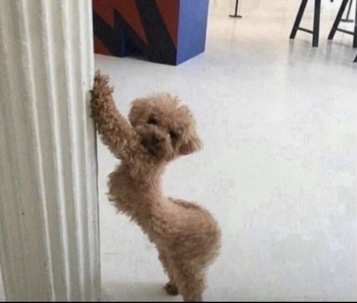 em ❀ edtwt tweet media