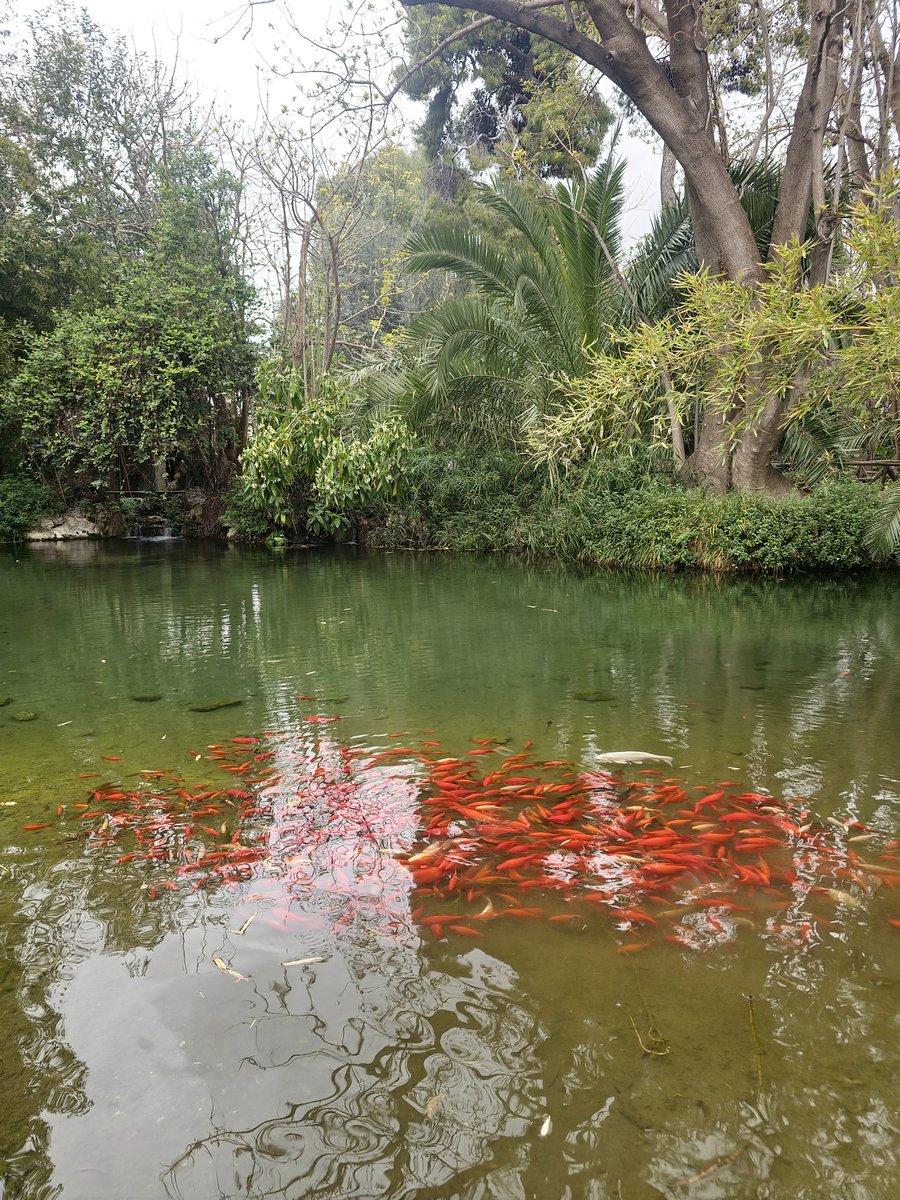 Чыгчый Ху tweet media