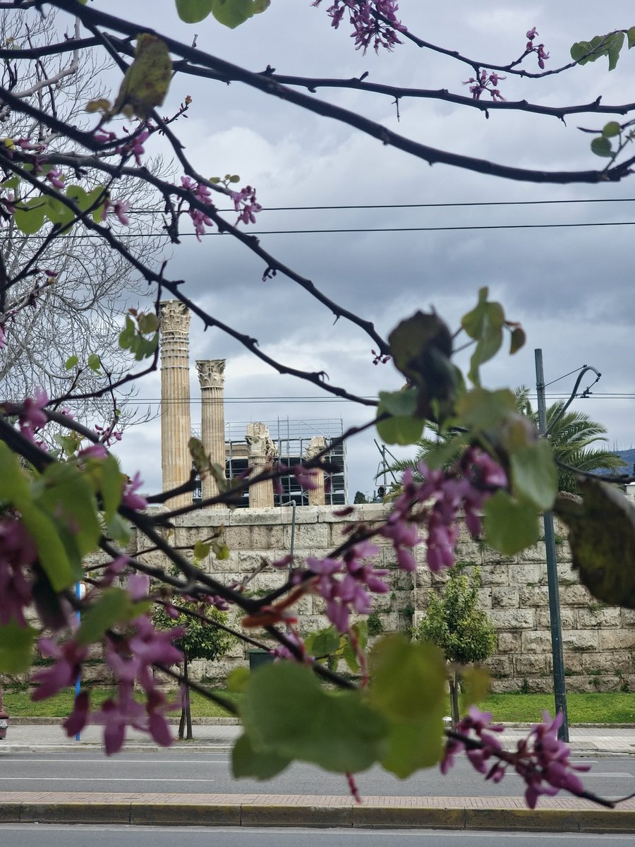 Чыгчый Ху tweet media