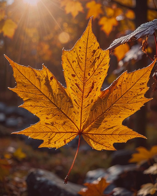 Maurice Dyson tweet media