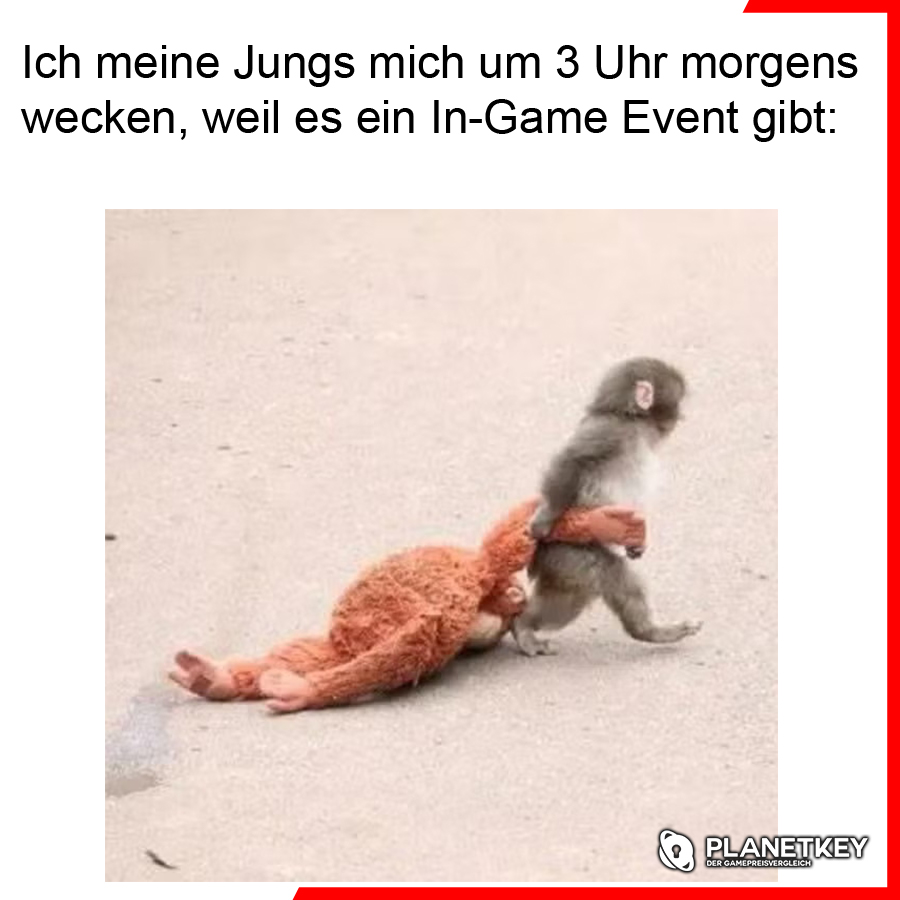 planetkey.de tweet media