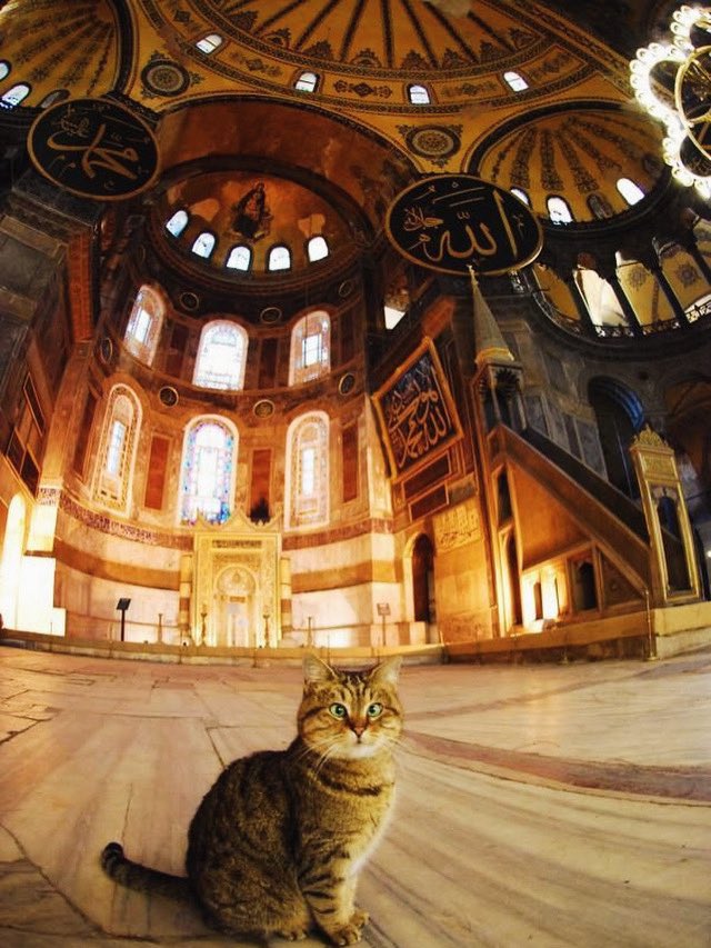 VAKIFLAR GENEL MÜDÜRLÜĞÜ tweet media