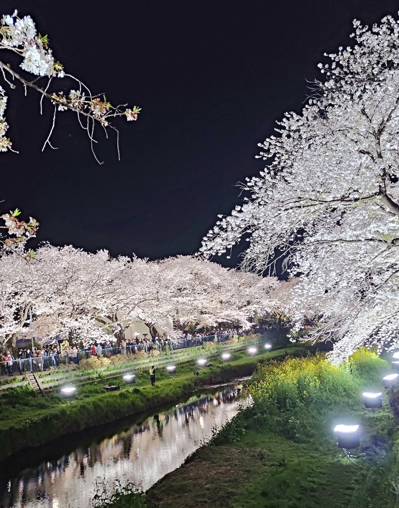 ぶんたろーー tweet media