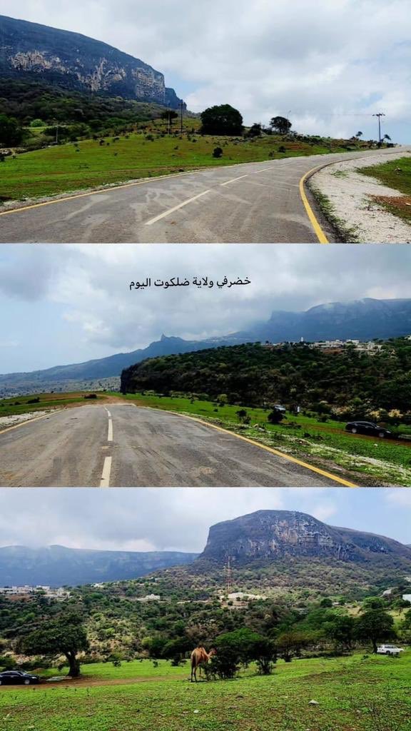 طارق tweet media