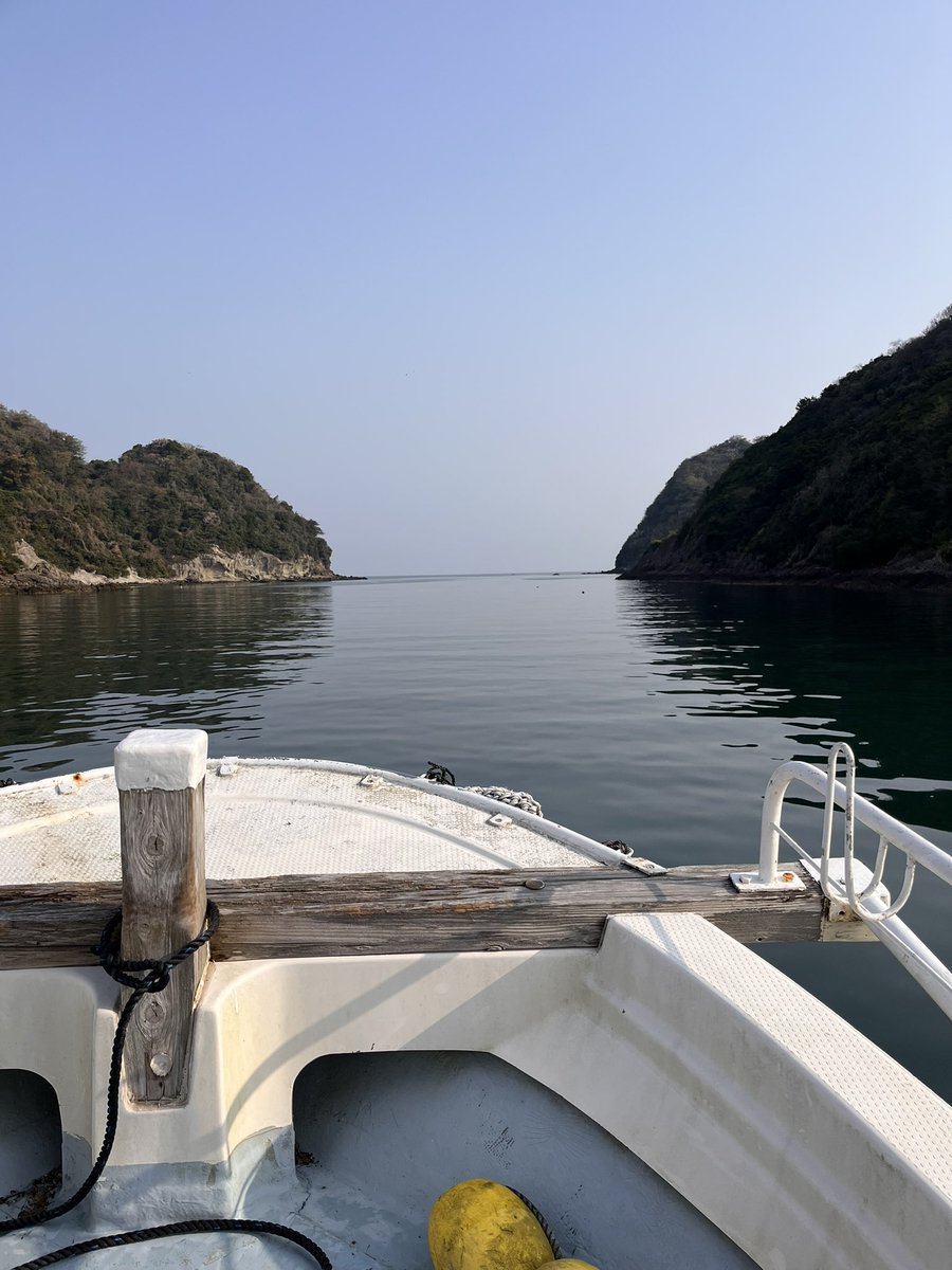 nosarink's tweet photo. 先週、師匠が波が穏やかそうなので、船を出すとのことで、いそいそと釣りに行った。春の海は穏やか。私は、水底の石しか釣れなかったけど、師匠の釣ったコウイカをもらう。イカは、刺身とバター焼きになった。 https://t.co/HSEQr5nDa1