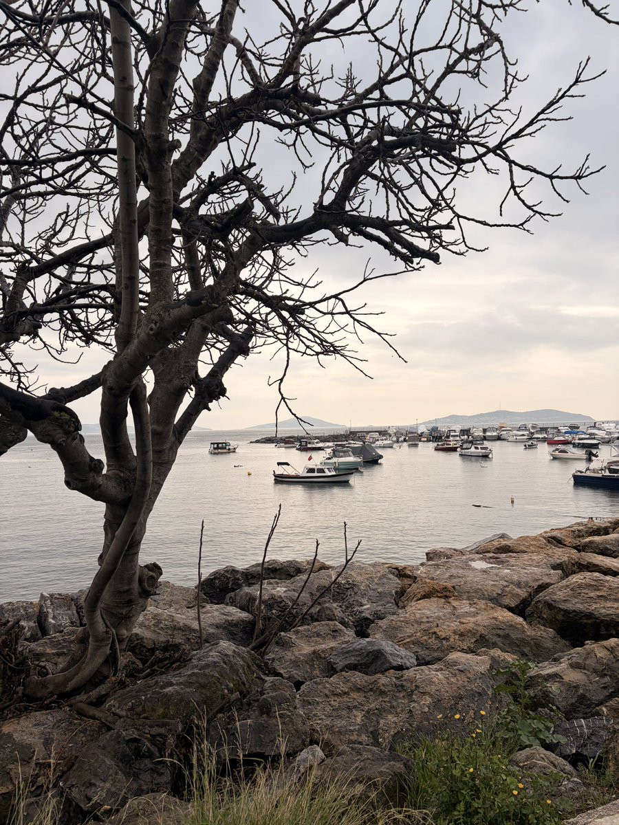 💐💫Zeynep🌸💫 tweet media