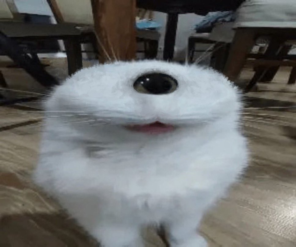 DownsidePIE tweet media