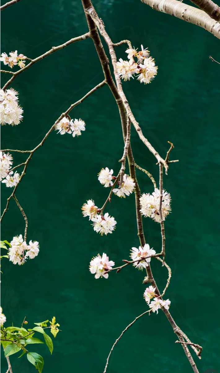 Insight Ninghai tweet media