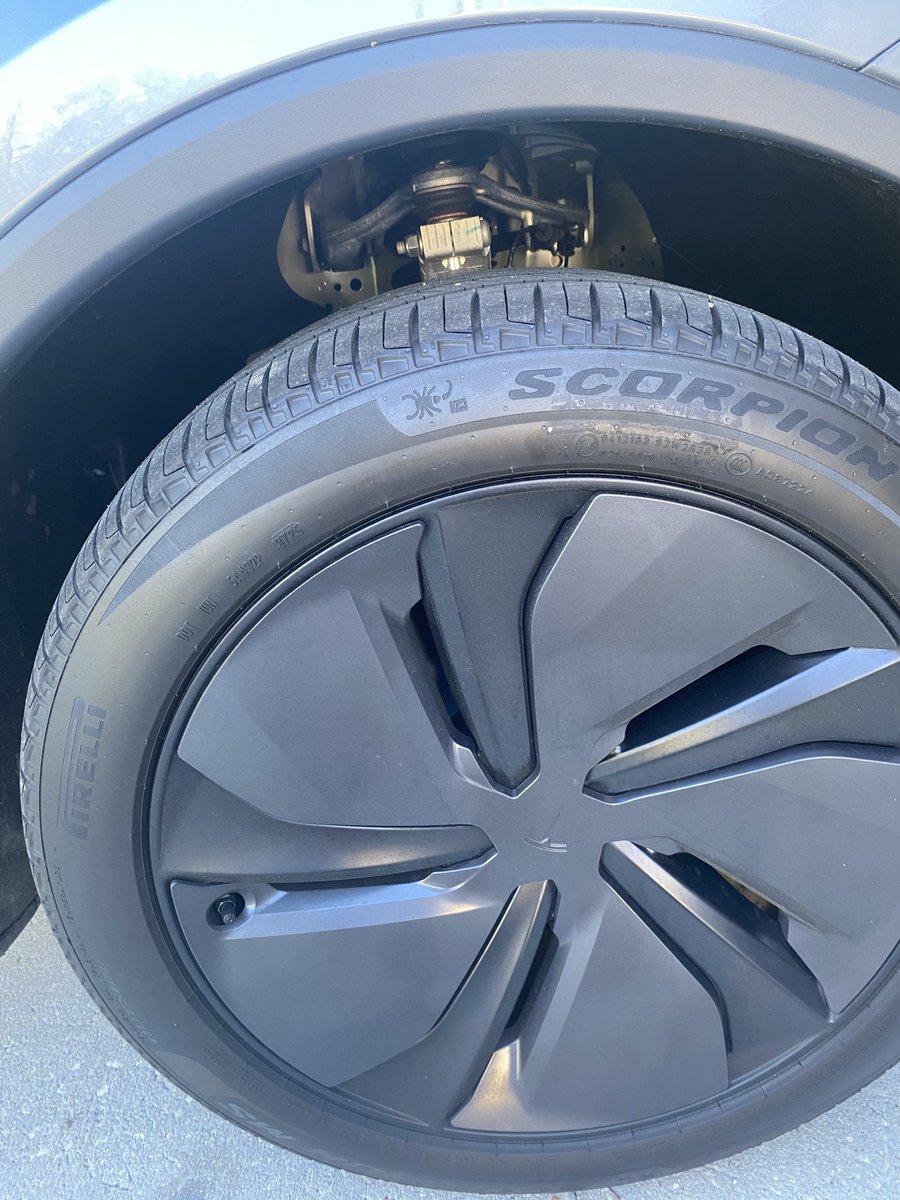 Digital Daisy🌸 tweet media