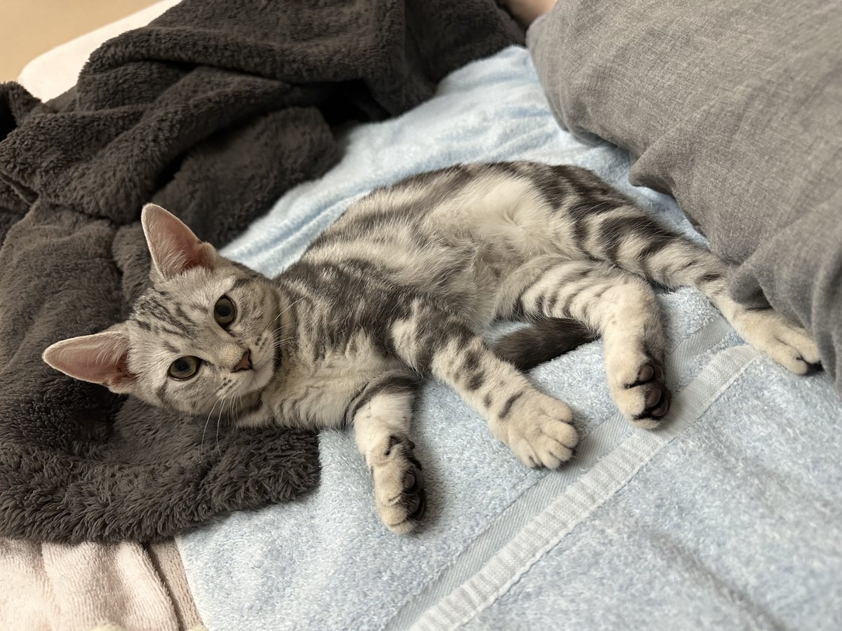 田畑由秋 Tabata Yoshiaki 타바타 요시아키 tweet media