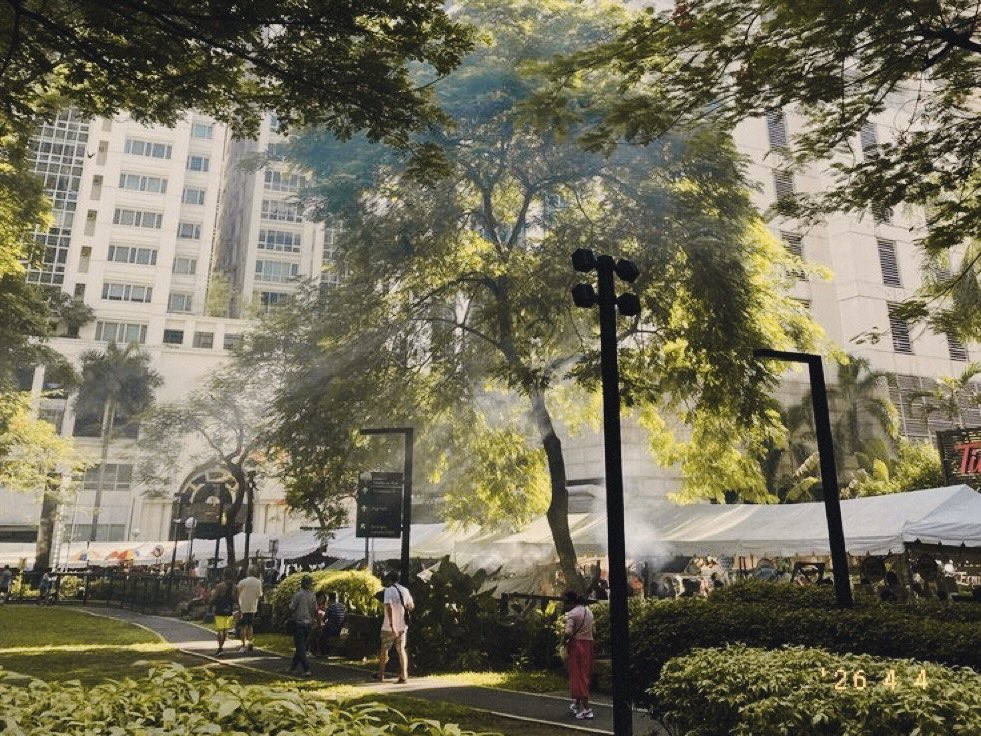 quinnᢉ𐭩 tweet media