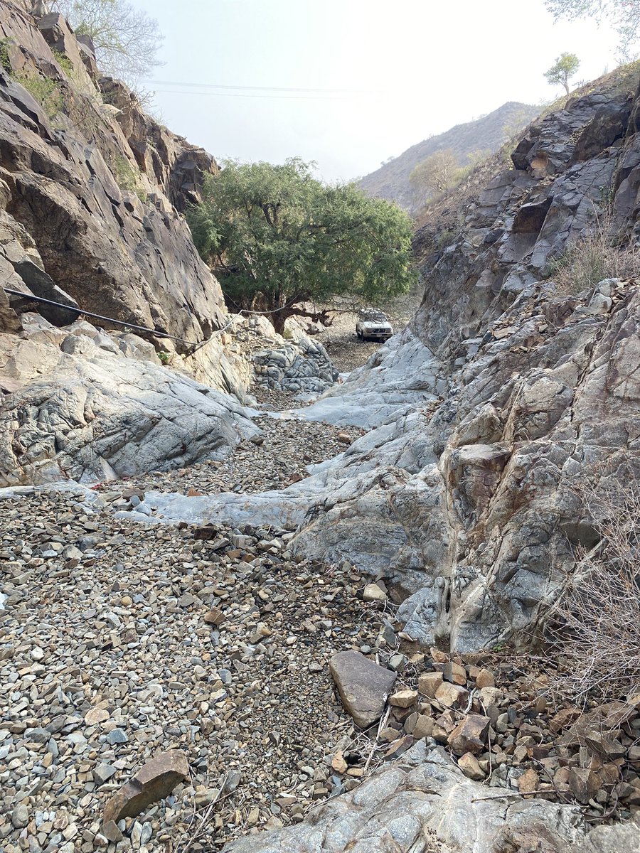 محمد الغزواني tweet media