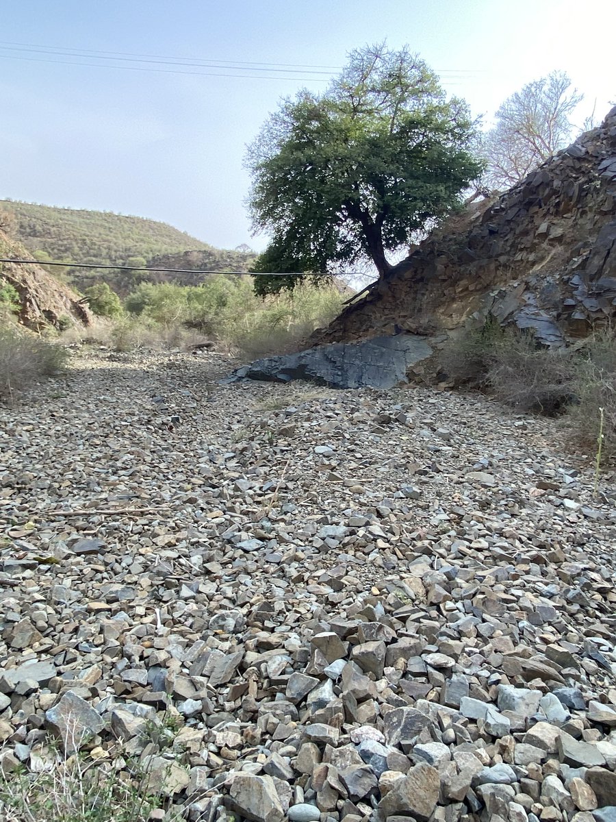 محمد الغزواني tweet media