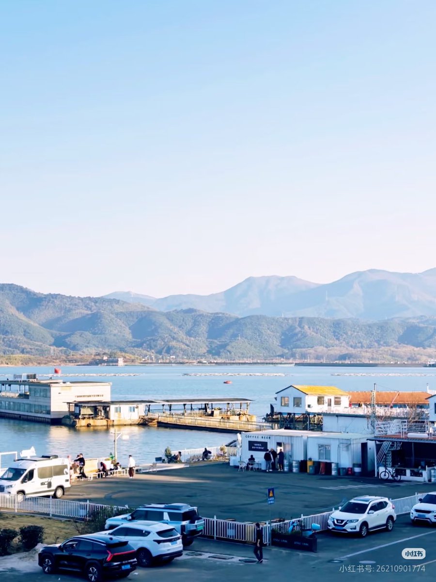 Insight Ninghai tweet media