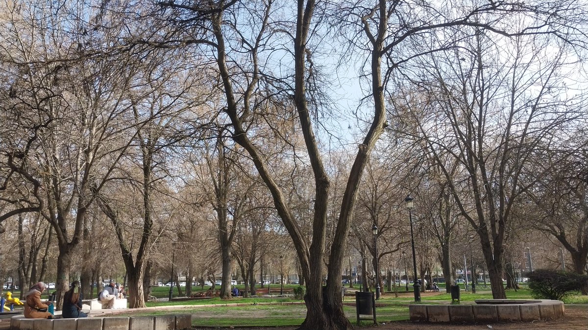 HUSSAM OSMANOĞLU. tweet media