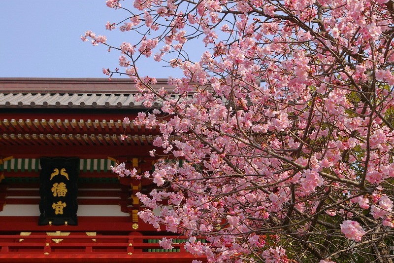 イリヤ tweet media