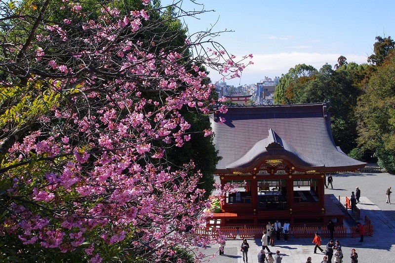 イリヤ tweet media