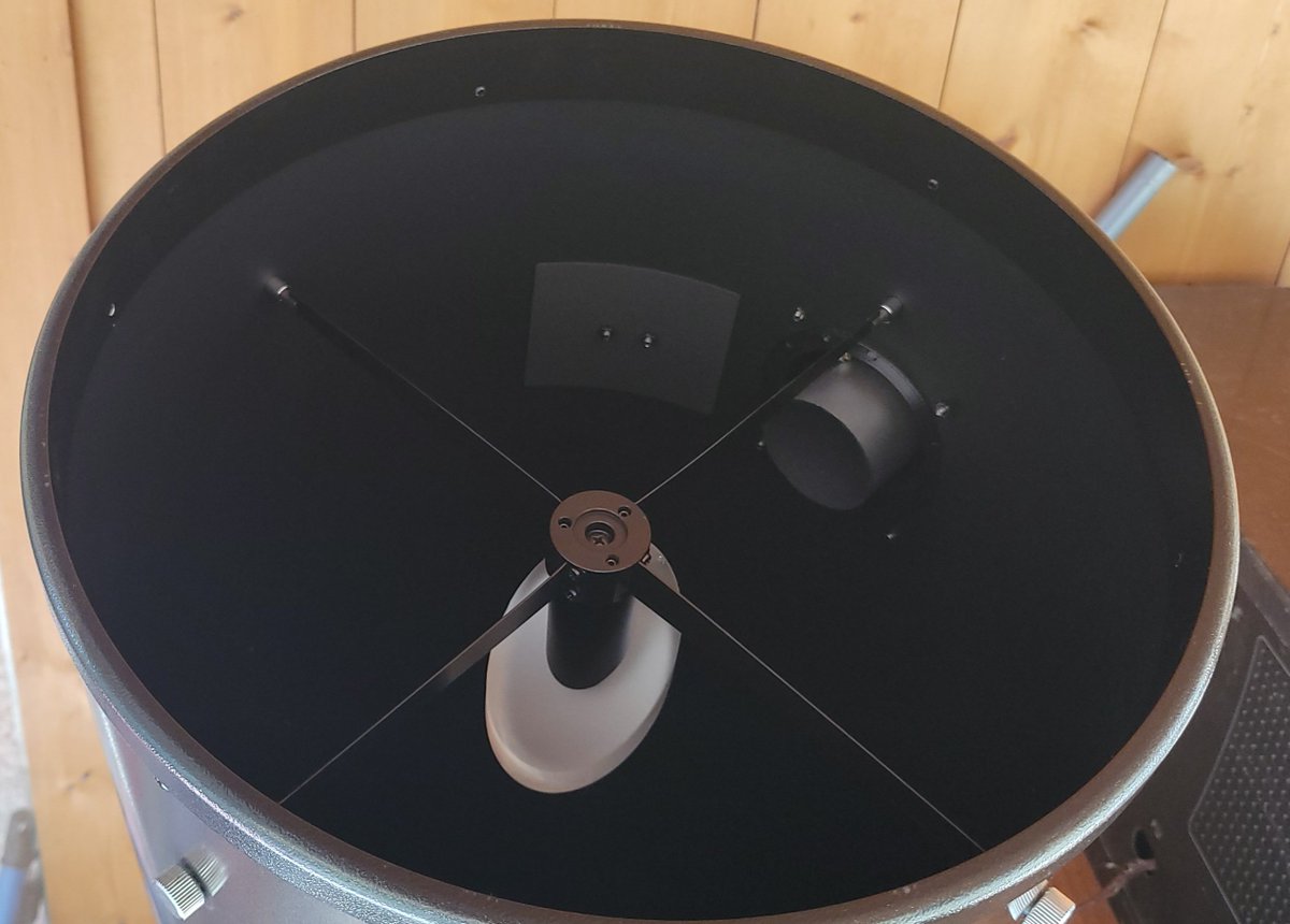 Sunofhydrae❤️💙🦁 tweet media