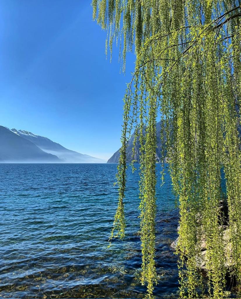 🕷️🕸️🃏Fabiana🃏🕸️🕷️ tweet media