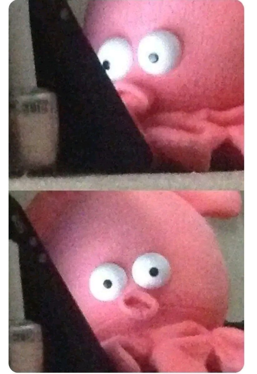 ¥øłî 🍙🐯 - professional law yapper tweet media