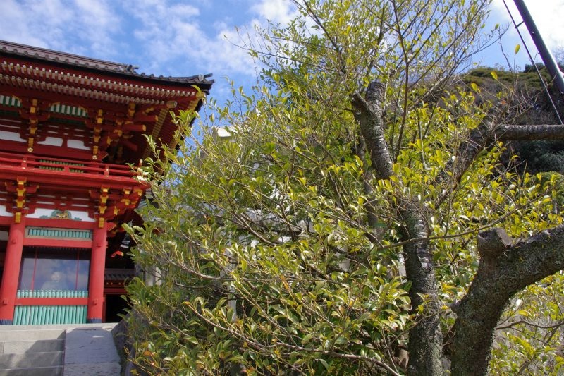 イリヤ tweet media