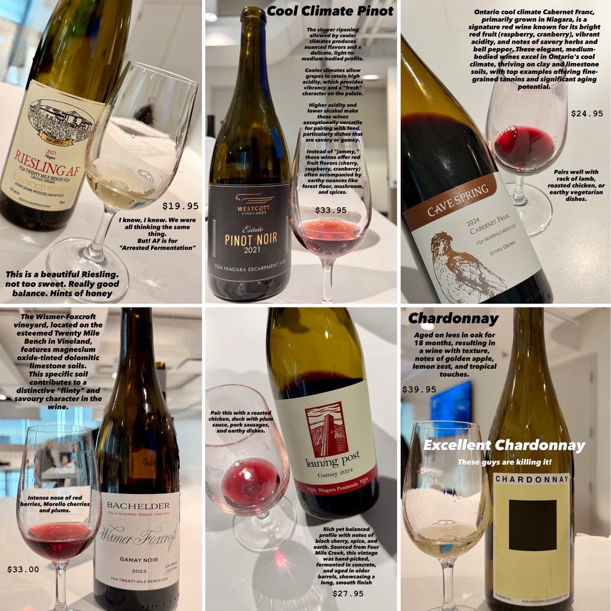 Victor Borja-Sheen🍷 tweet media