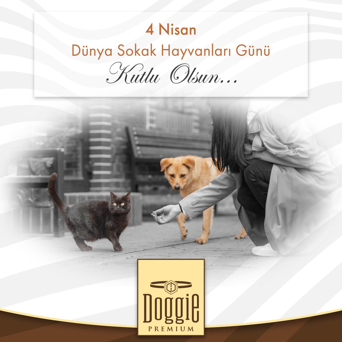 Doggie_tr's tweet photo. Sokak hayvanlarını korumak, sahip çıkmak hepimizin görevi. Dünya Sokak Hayvanları Günü kutlu olsun!

Protecting and taking care of street animals is everyone's responsibility. Happy World Stray Animals Day!

#4NisanDünyaSokakHayvanlarıGünü
#AnimalsDay https://t.co/ZUEieI6ypS
