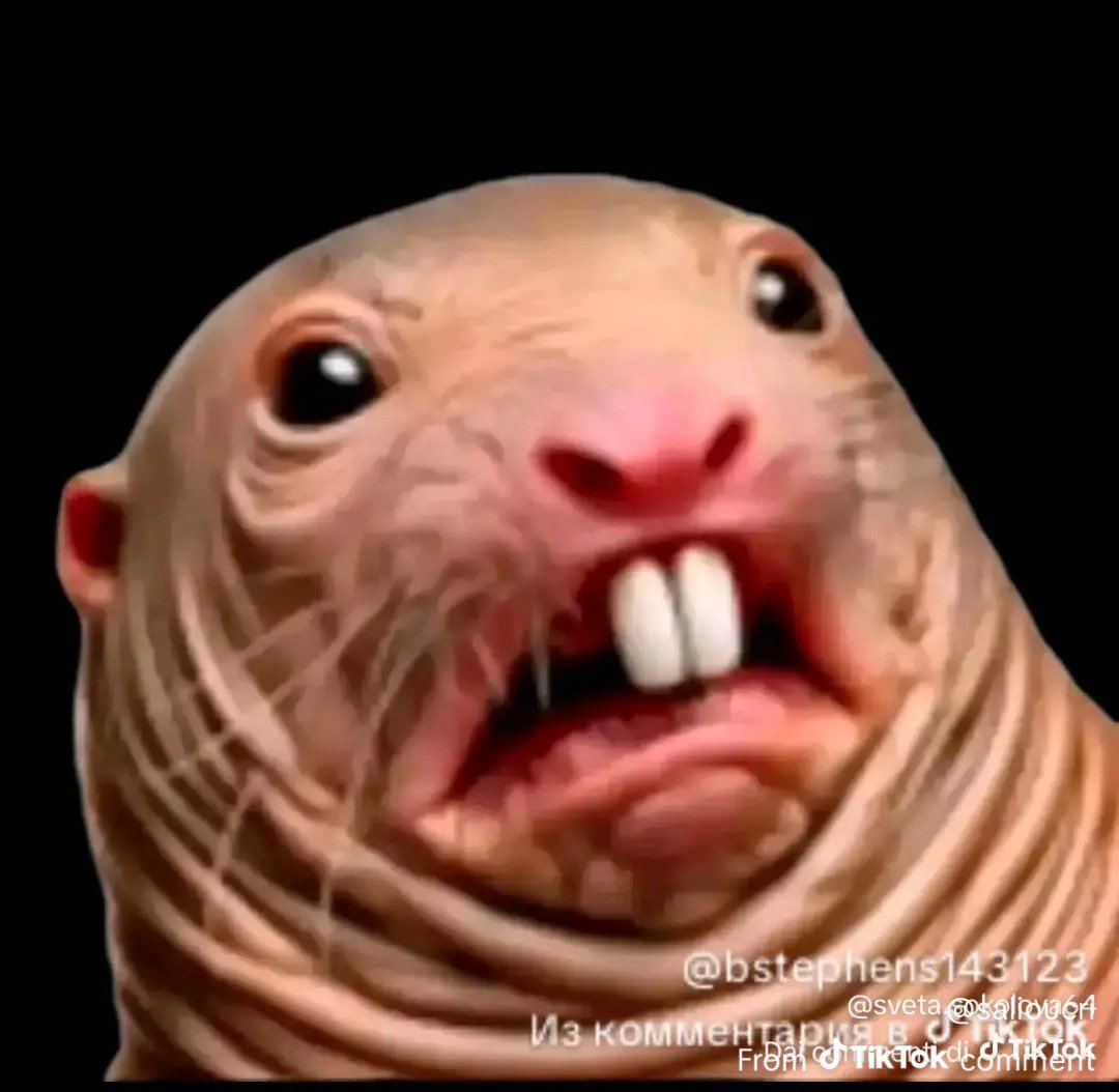 Andrew Isaac tweet media