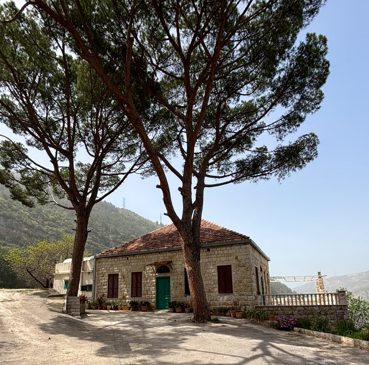 Mon Liban d’Azur tweet media