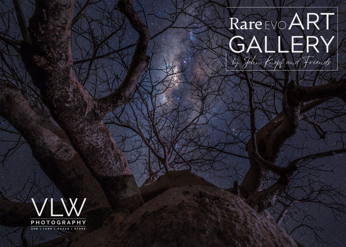 Vicki-Louise 🇦🇺 tweet media