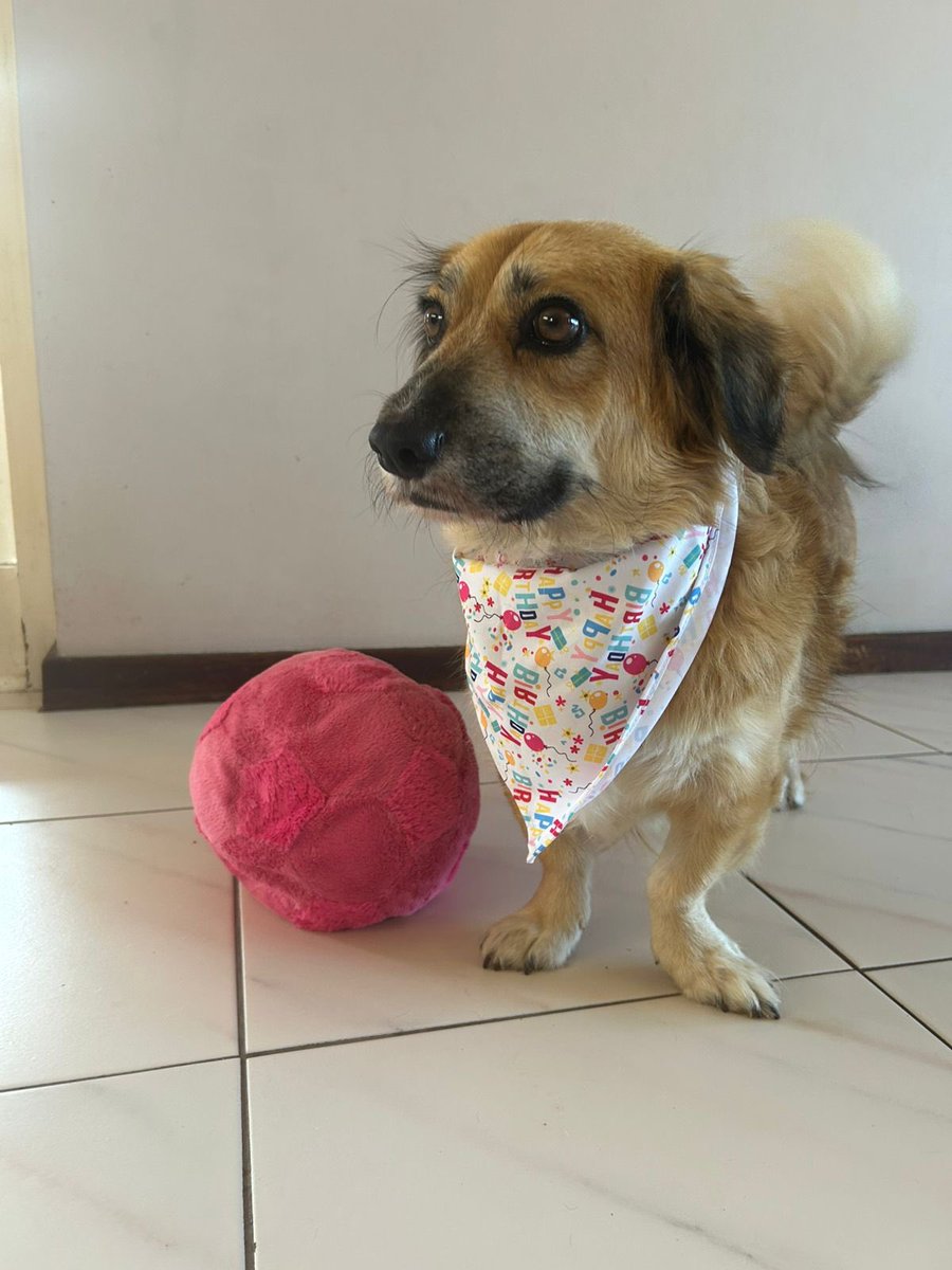 Cath Jenkin tweet media