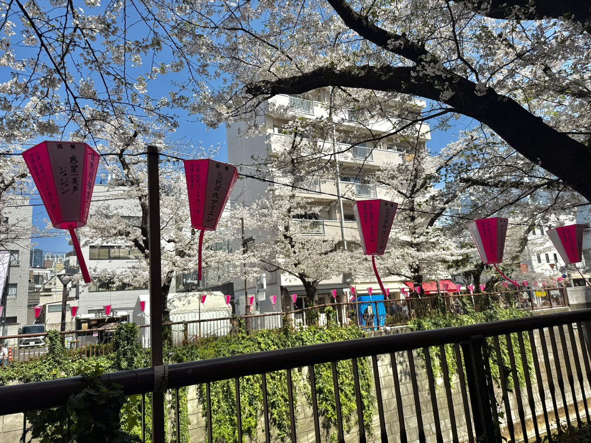 りぱ👶🏻 tweet media