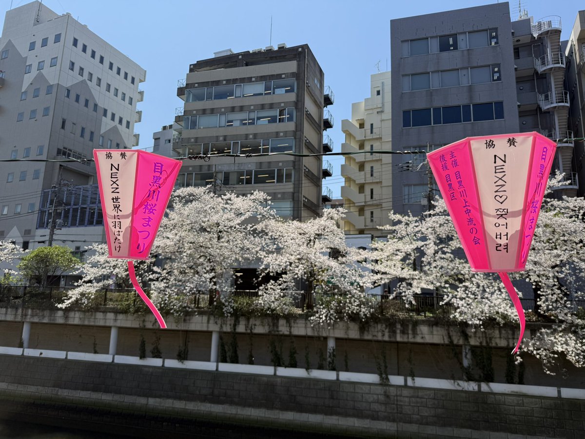 りぱ👶🏻 tweet media