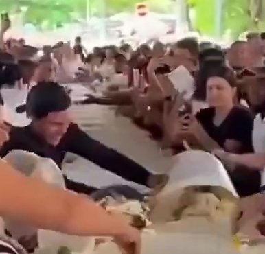 ALGAFAN / TETRA ENEA tweet media