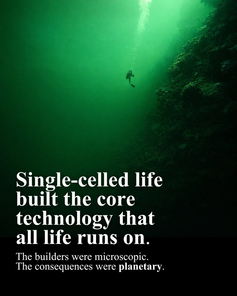 We tend to tell the story of life from the wrong end. 

We start with animals, then brains, then humans, as if complexity began with things we can see. But from a physical and chemical perspective, the real story begins much earlier and much smaller.

Life begins when a planet is