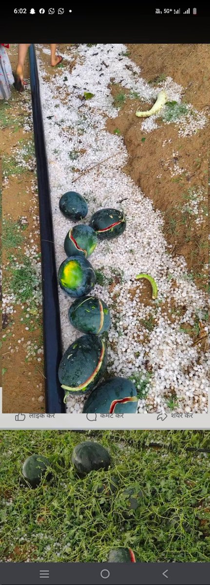 PANKHI LAL 🍂💖 tweet media