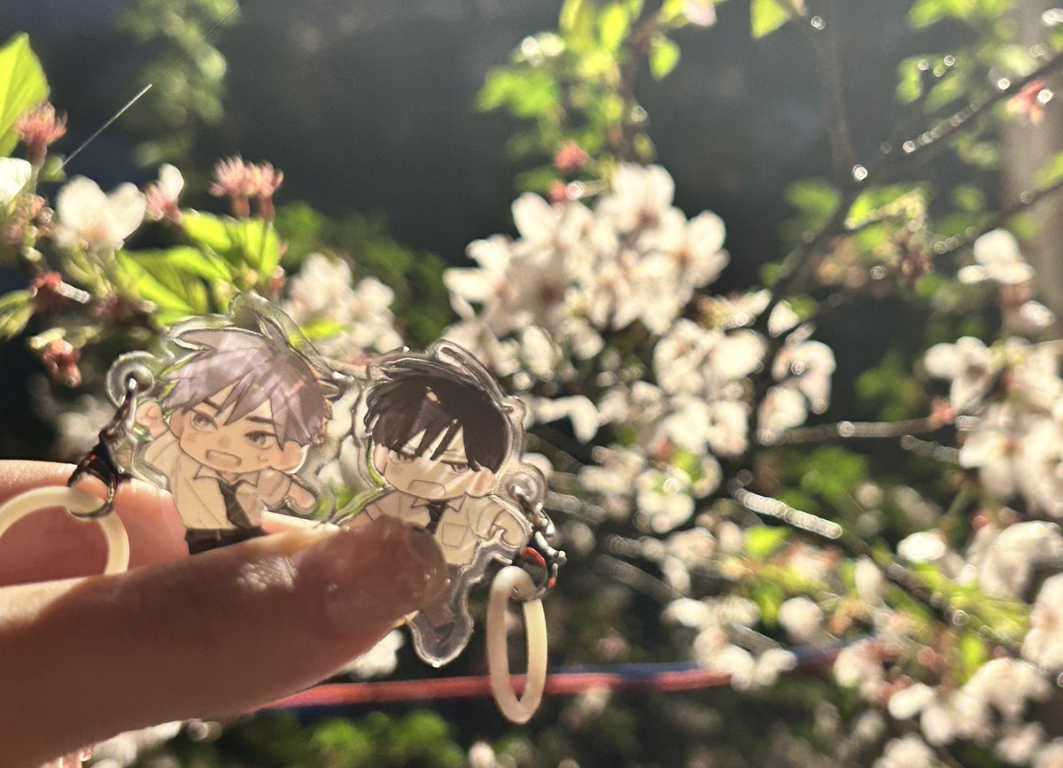 春海かみす🥳 tweet media