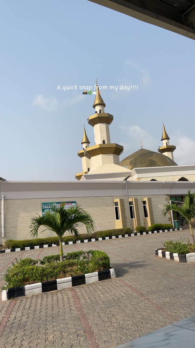 ibro✨💫 tweet media