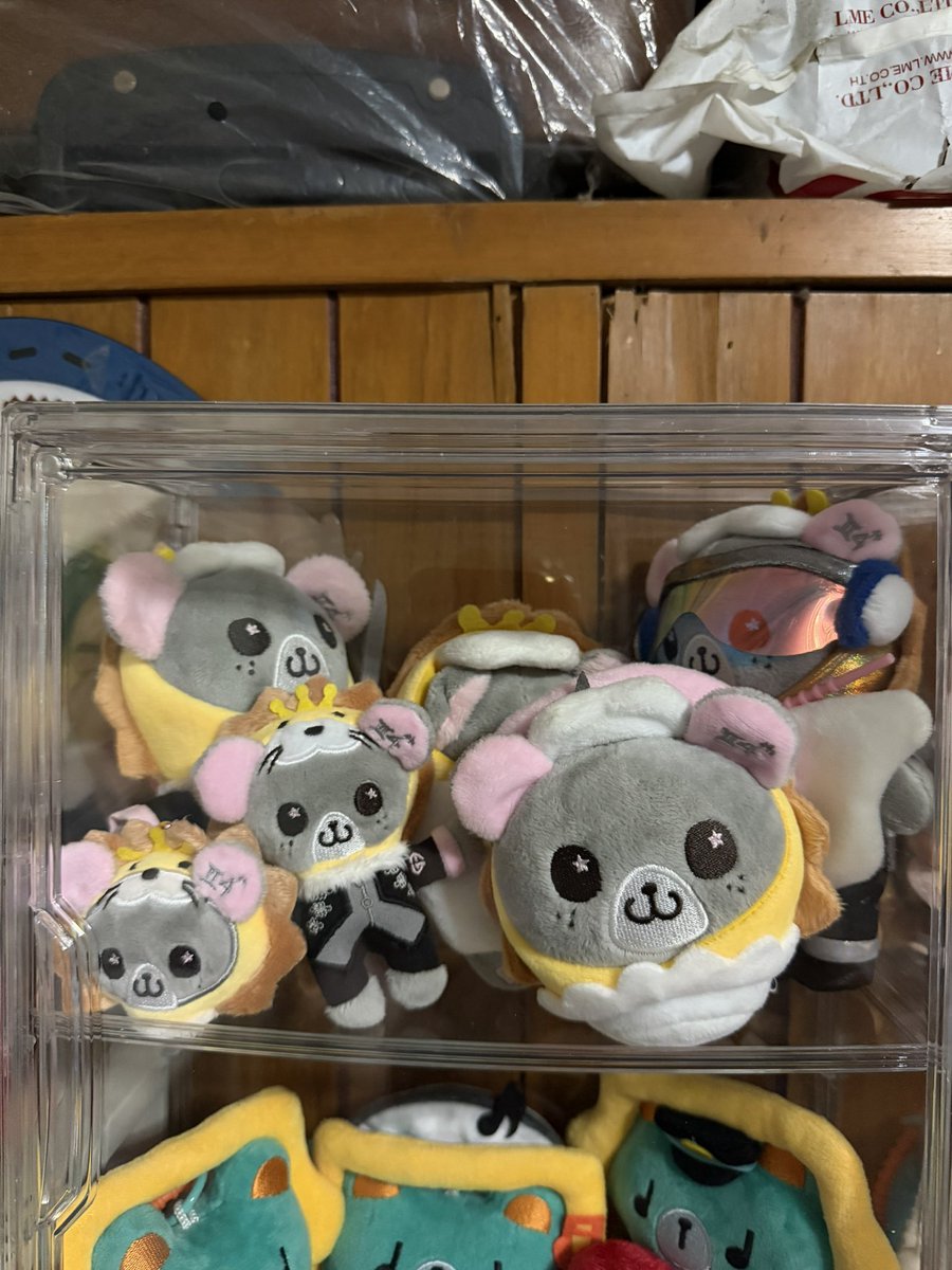 ทิงเจอร์เบล 𐐪ї𐑂 tweet media