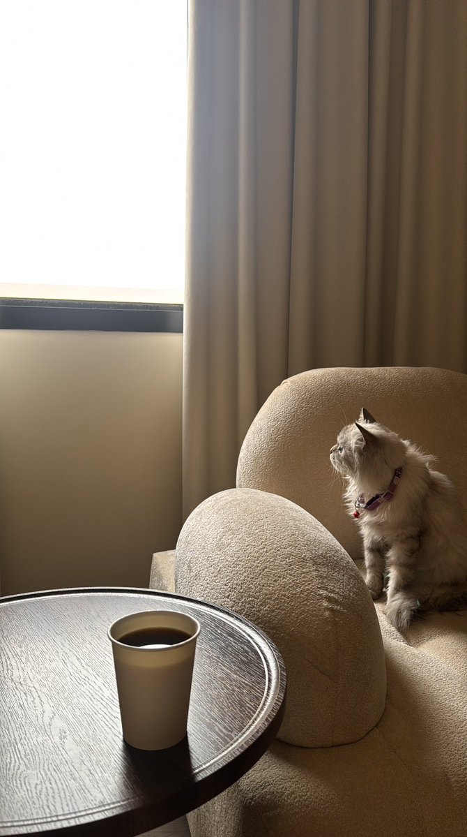 Just Hani tweet media