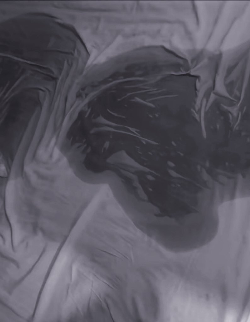 南京小团团 tweet media