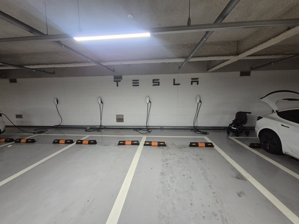 리바노스 tweet media