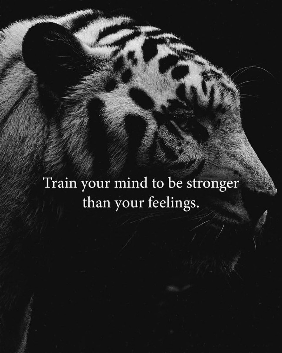 Lock In Brah tweet media