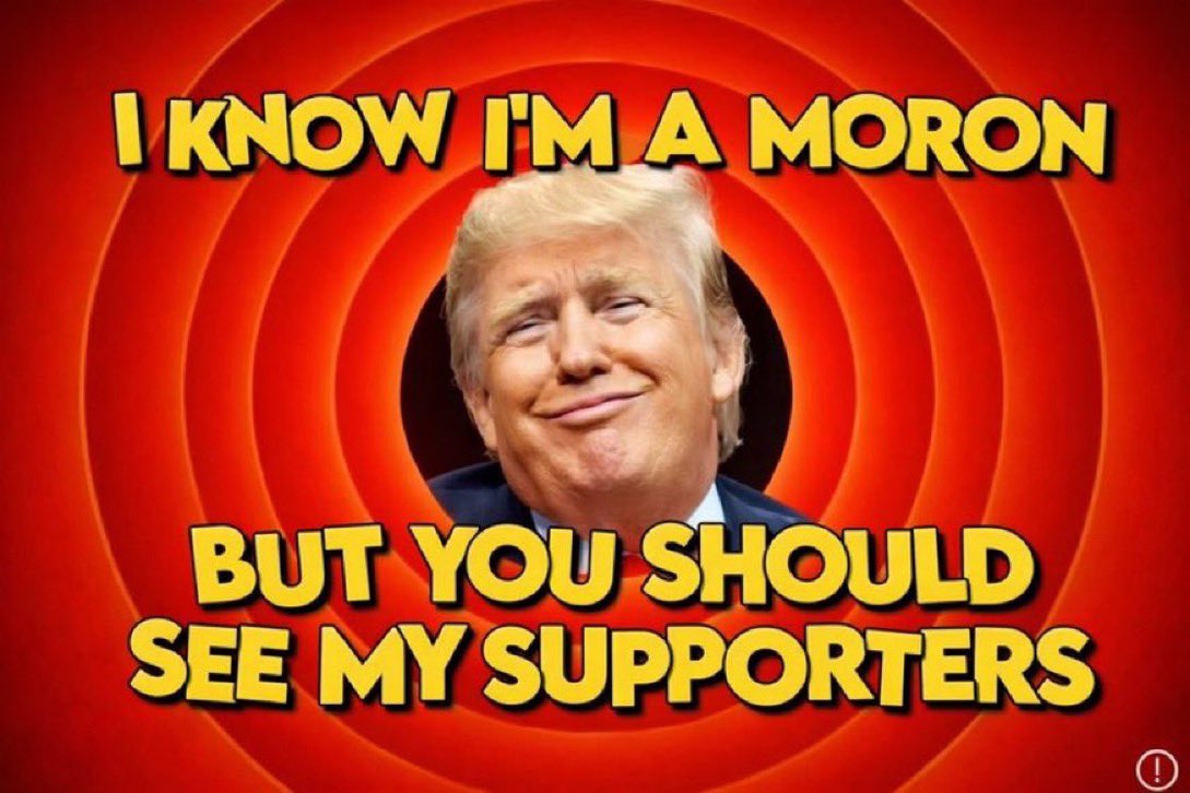 OpenMinded 🇮🇪 🇵🇸 🇮🇷 ShinnerBot No. 195408 tweet media