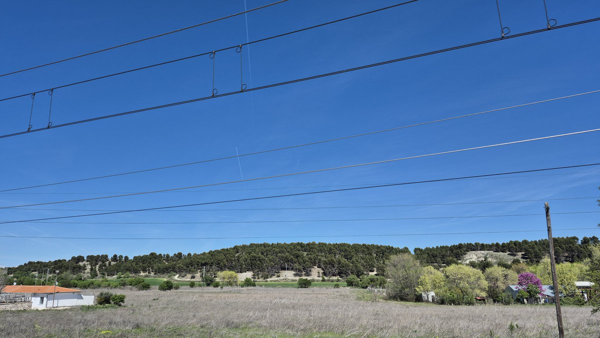 Tcdoge 🔜 Ibercon tweet media