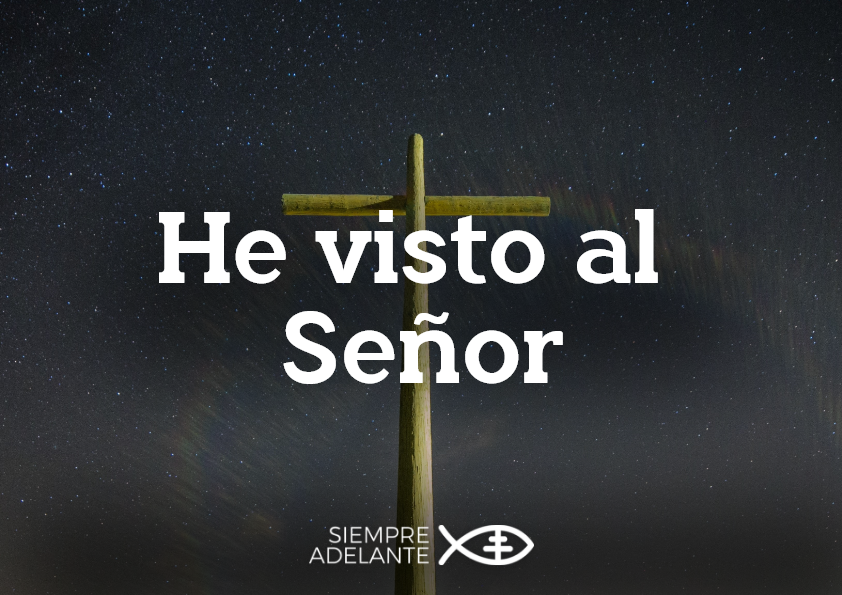 Archidiócesis de Sevilla tweet media