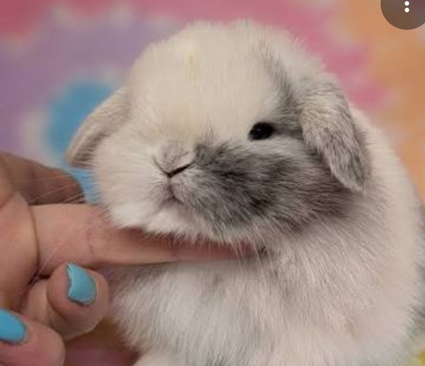 🎼 Myles tweet media