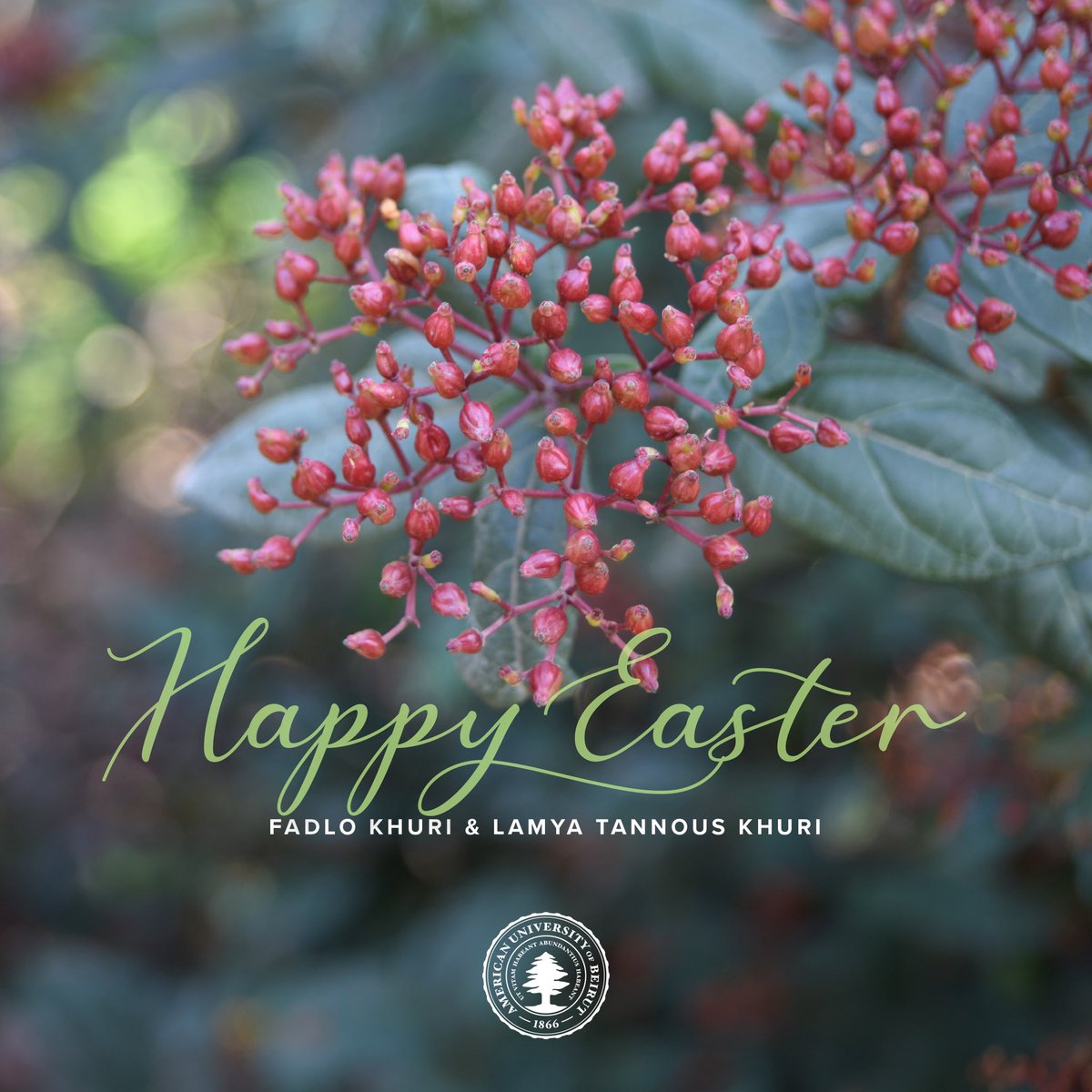 Dr. Fadlo Khuri tweet media